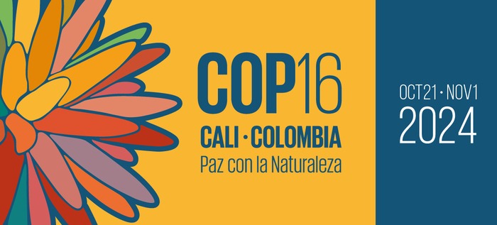 Kolumbien hat die Inirida-Blume - Flor de Inirida - „Guacamaya superba“ als Logo für die COP 16 gewählt, eine Blume, die im kolumbianischen Amazonasgebiet wächst und trotz der extremen Bedingungen, denen sie ausgesetzt sein kann, immer blüht. „Mit dem Bild und dem Slogan 'Frieden mit der Natur' ruft Kolumbien dazu auf, unsere Beziehung zur Umwelt zu verbessern und das derzeitige Wirtschaftsmodell zu überdenken, das das Leben auf unserem Planeten übermäßig ausbeutet und verschmutzt“, erklärte die kolumbianische Regierung.