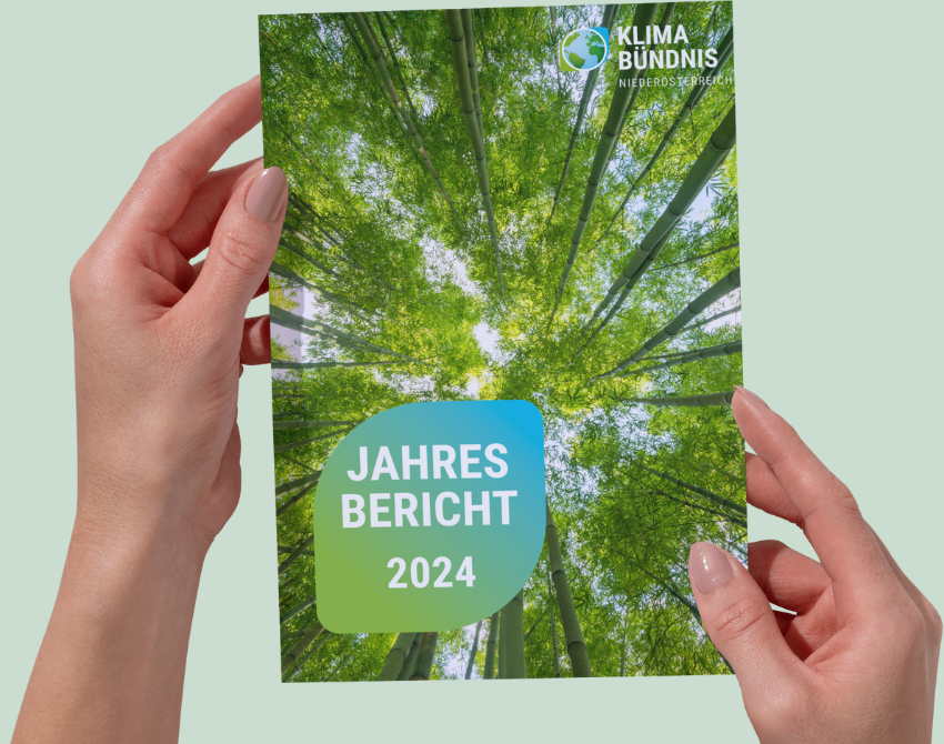 Hände halten Cover vom Jahresgericht in der hand.