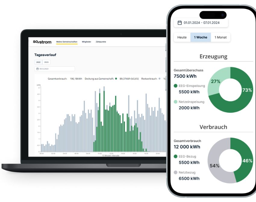Abbild der SO Strom App mit Graphik zum Stromverbrauch und Stromerzeugung
