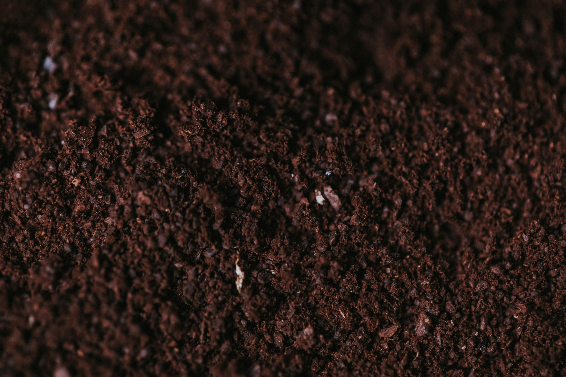 Soil